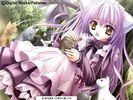 ok_12305[1]