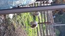 20190908_172742(0)