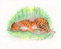 Sleeping-Friends-_Tiger-and-Rabbit_Panorama1-1800px_October15_1700px_WEB-1