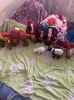 IMG-20201210-WA0005