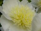 P1370327