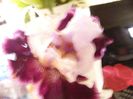 P1370502