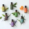 Margot received a set of essential oils to relax, in case she encounters Hiro again, from Gizi.