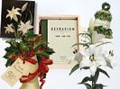 Lily received a Herbarium, a living Lily to inaugurate the book and a hand drawn Lily from Harry.