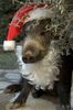 IMG-20201225-WA0006