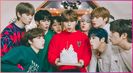 ▪ Dᴀʏ 208 ▬ 25.12.2020 ▪