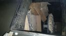 IMG-20201109-WA0030