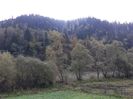 20201009_Vatra Dornei (8)