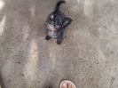 IMG-20210108-WA0123