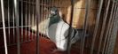 IMG-20201229-WA0005
