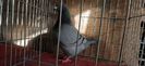 IMG-20201229-WA0067