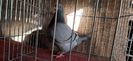IMG-20201229-WA0069