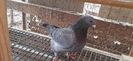 IMG-20210104-WA0024