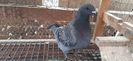 IMG-20210104-WA0032