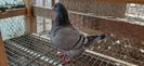 IMG-20210104-WA0043
