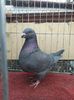 IMG-20201214-WA0022
