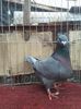 IMG-20201214-WA0025