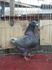 IMG-20201214-WA0030
