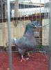 IMG-20201214-WA0033