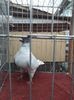 IMG-20201214-WA0039