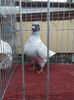 IMG-20201214-WA0051