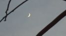 Luna noua in Pesti