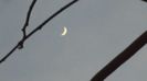 Luna noua in Pesti