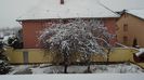 27 ian.- Ninsoare