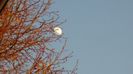 Luna in crestere in Gemeni