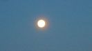 Luna plina in Leu (Full Wolf moon)