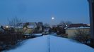 Luna plina in Leu (Full Wolf moon)