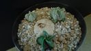 Grup de 3 Astrophytum