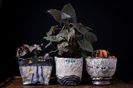 Pipyr Pottery﻿