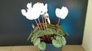 Cyclamen persicum