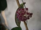 P1470482