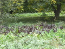DSCF0744