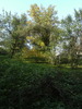 DSCF0781