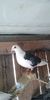 received_265618945051956