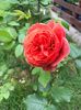 received_737151710495147