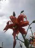 received_758621108120714