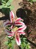 received_1148492078930869