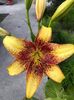 received_525042502223752