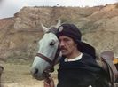 Mihai Viteazul