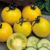 rosii galbene  Tomato Golden Sunrise Seeds