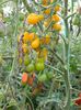 dscn8853-e1327833499575