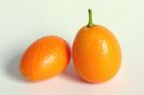 Kumquat-0245