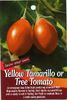 Yellow-Tamarillo-Tree-Tomato
