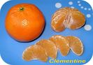 Clementine_DC_t.800
