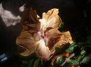 P1470541