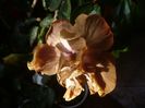 P1470542